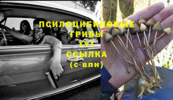 таблы Белоозёрский
