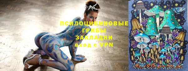 скорость Белокуриха
